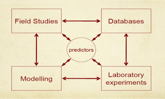 Modified Katermann Framework